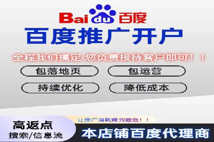 行业领先企业的SEM竞价代运营成功案例揭秘